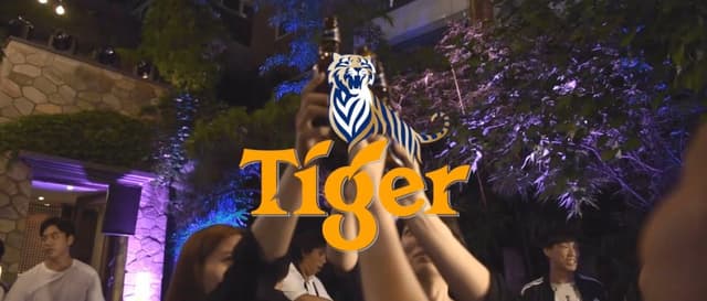 타이거맥주 Tiger STREATS Party 